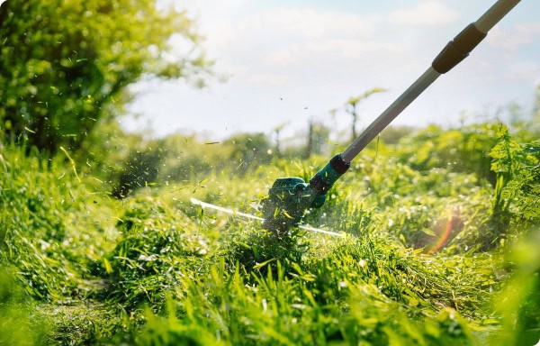 weed wacker cutting weeds