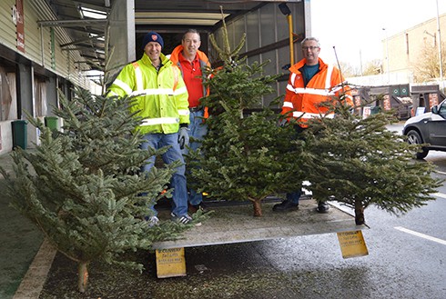 Treecycle your Christmas tree with Pilgrims Hospices
