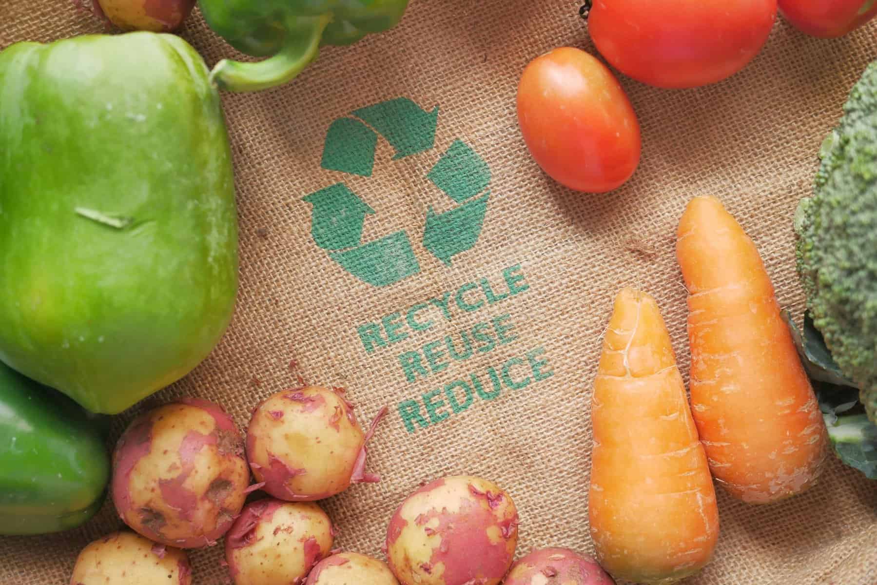 Prepare Your Business For 2025’s New Recycling Waste Legislation