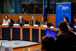 People sitting and discussing at the table during the 2025 Epilepsy and Rare Diseases Conference at the European Parliament in Brussels
