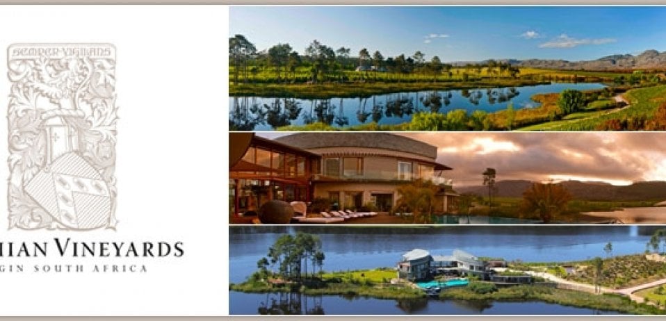 Best wedding venues in Cape Town’s winelands