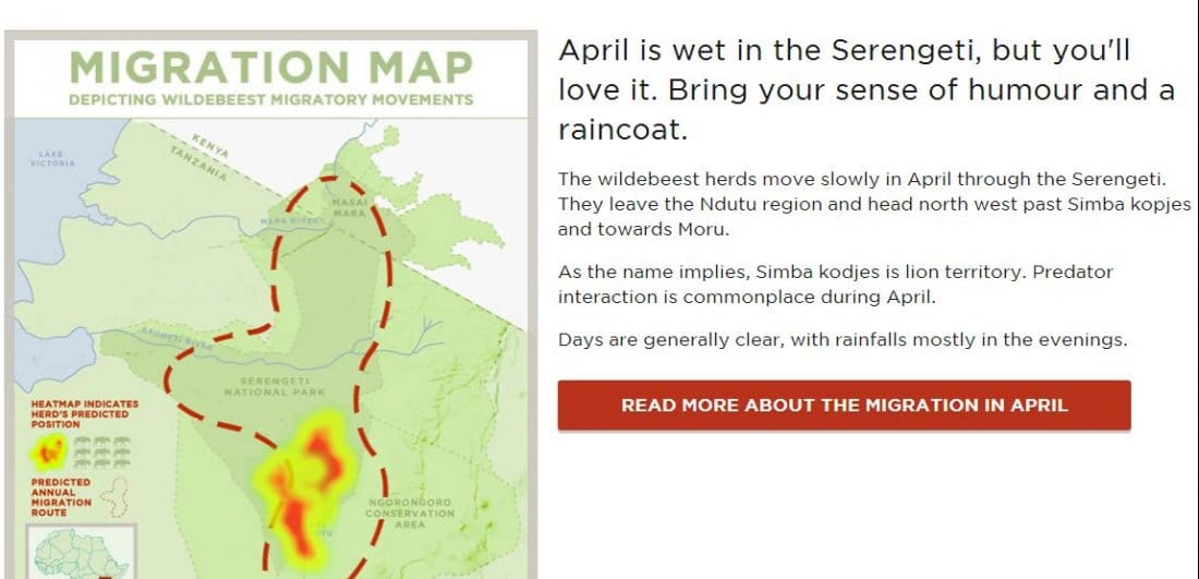 Meet HerdTracker – Our Great Wildebeest Migration prediction tool