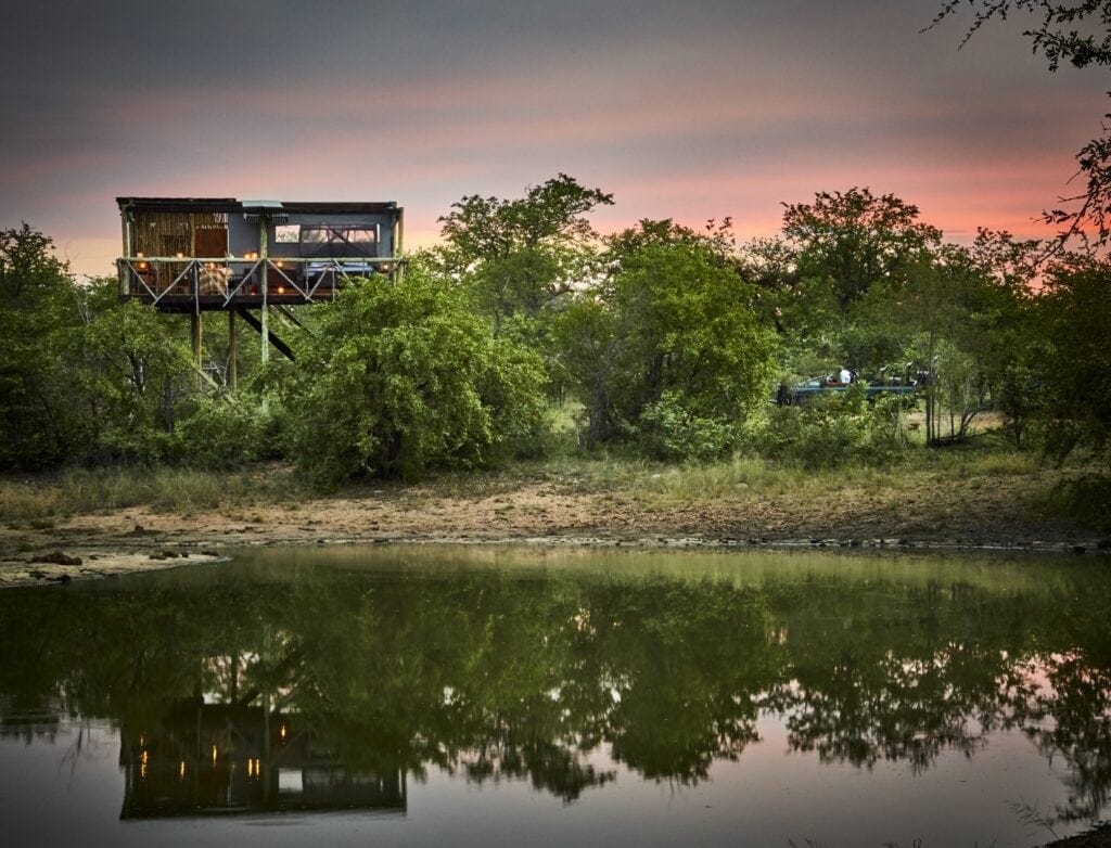 Giraffe nest from the water | Photo credit: Motswari Private Game Reserve