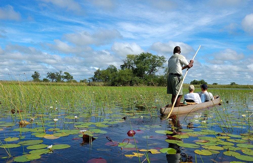 Mokoro safari in the Okavango Delta, Botswana.