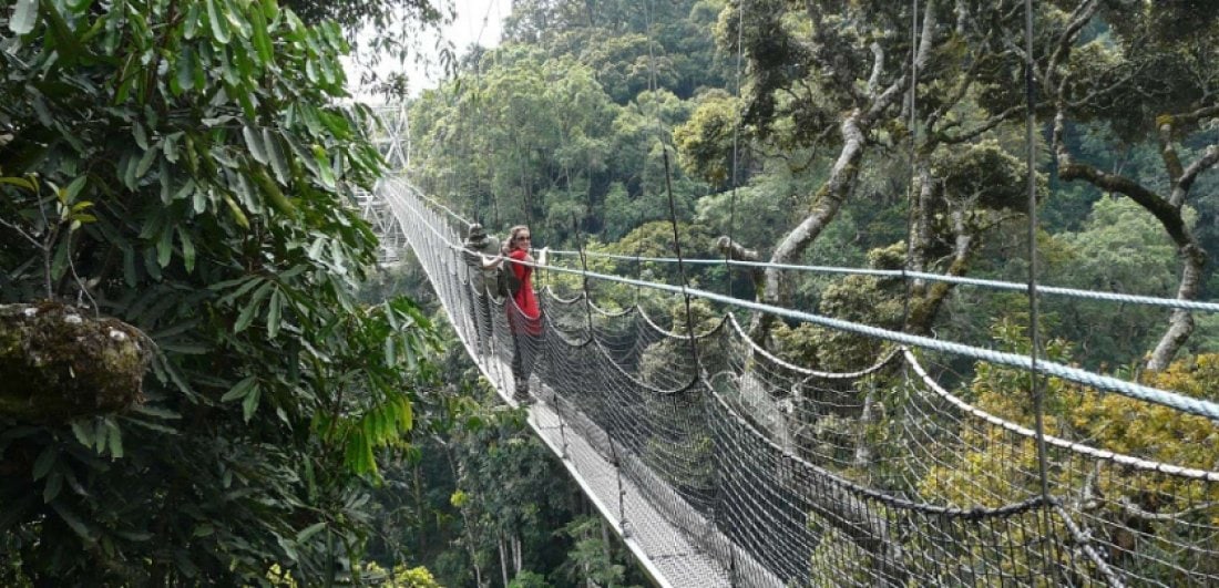 A rough guide to the best national parks in Rwanda