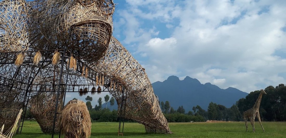 A rough guide to the best national parks in Rwanda