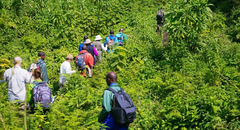 Best five destinations to experience a walking safari in East Africa