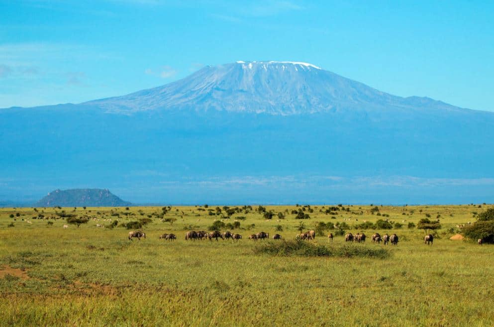 Luxury Lodge Review: ol Donyo Lodge, Kenya