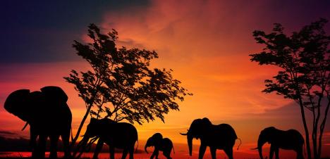 Your Bucket List Itinerary for Botswana