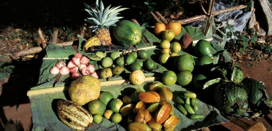Zanzibar: Africa’s Spice Route