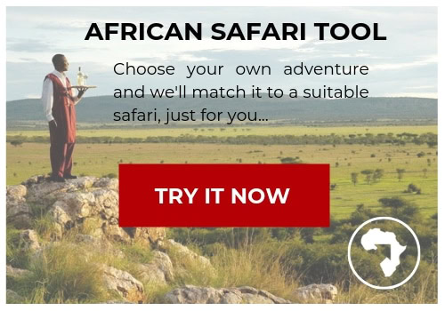 african safari