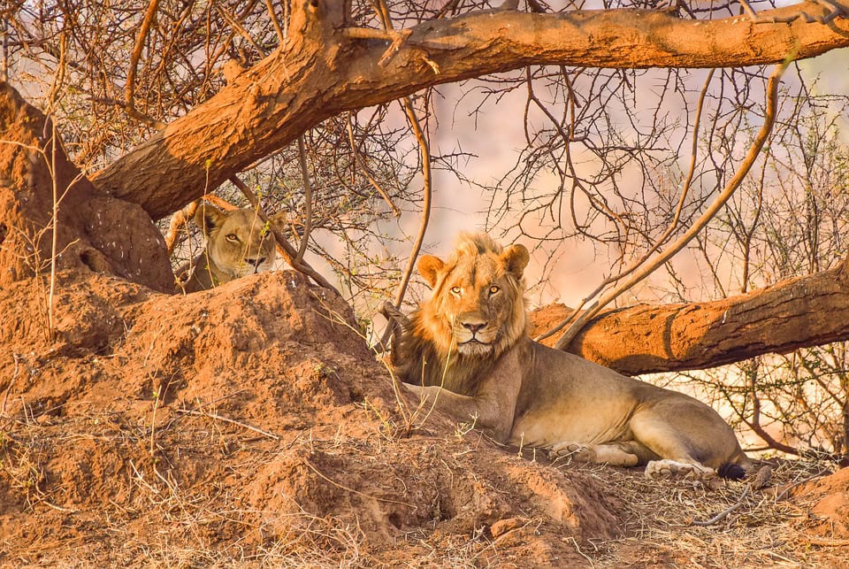 What Does it Cost to Visit one of the World’s most prestigious Heritage Sites?