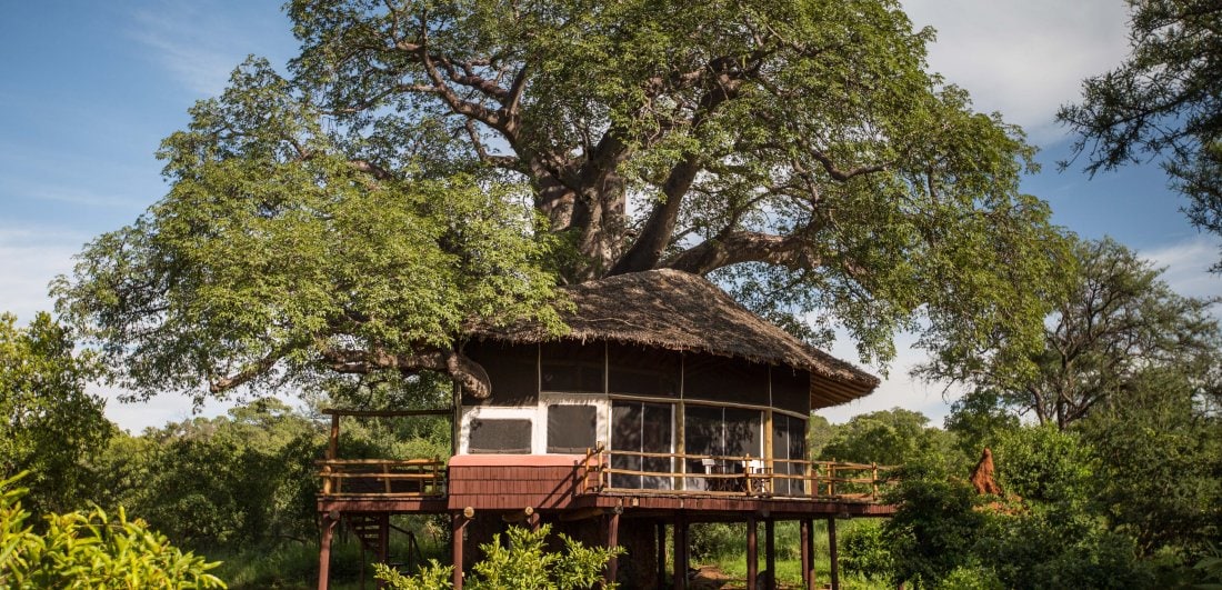 Luxury Lodge of the Week: Elewana Collection’s Tarangire Treetops
