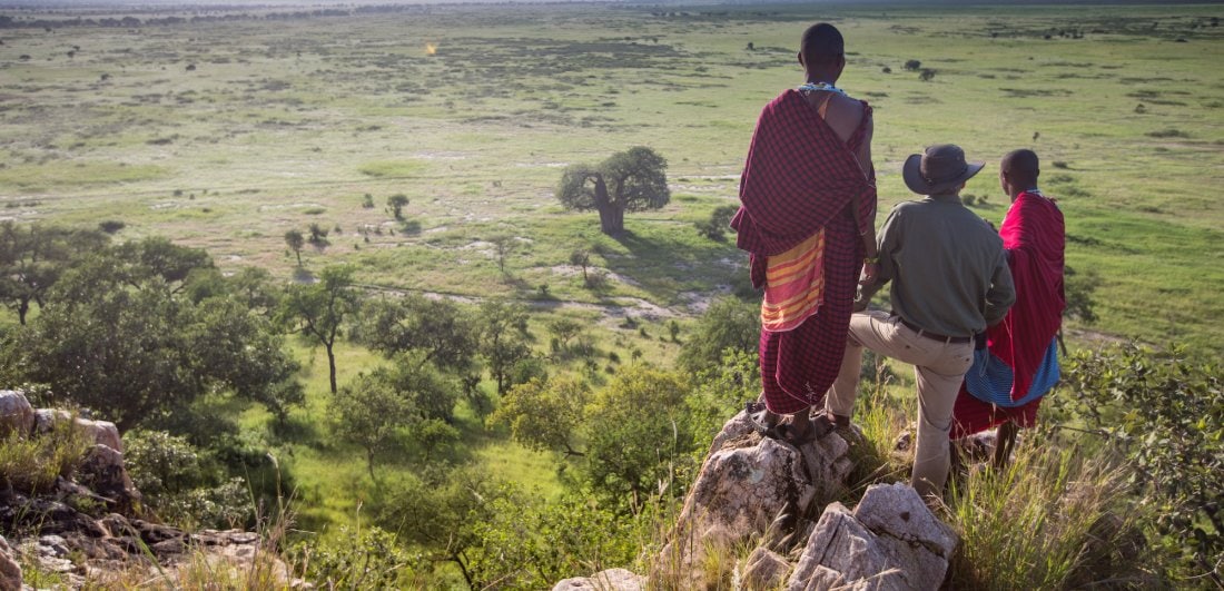 Luxury Lodge of the Week: Elewana Collection’s Tarangire Treetops