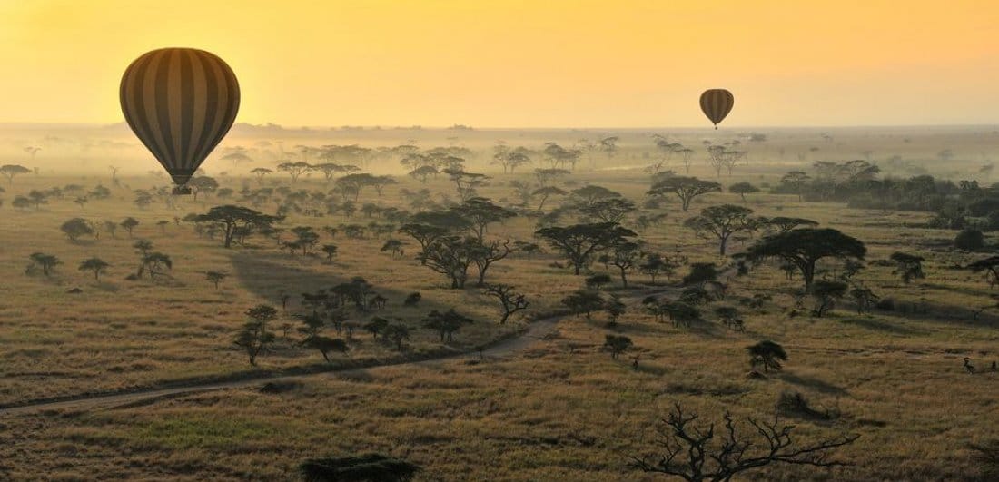 Share the wonder of a Great Migration safari with your partner