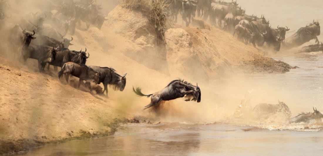 Share the wonder of a Great Migration safari with your partner