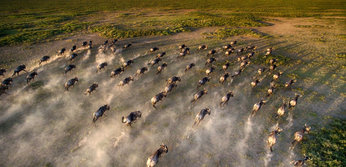 All you need to know about the Loita Migration