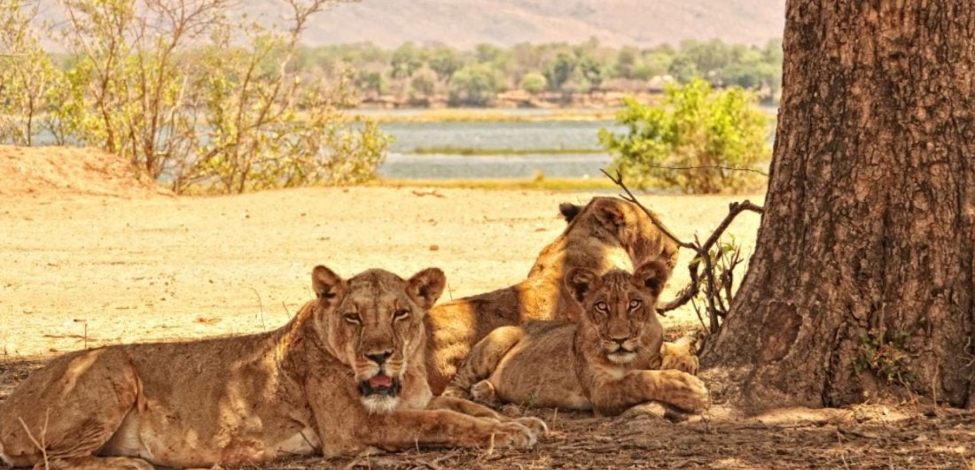 Four of the best things about Victoria Falls