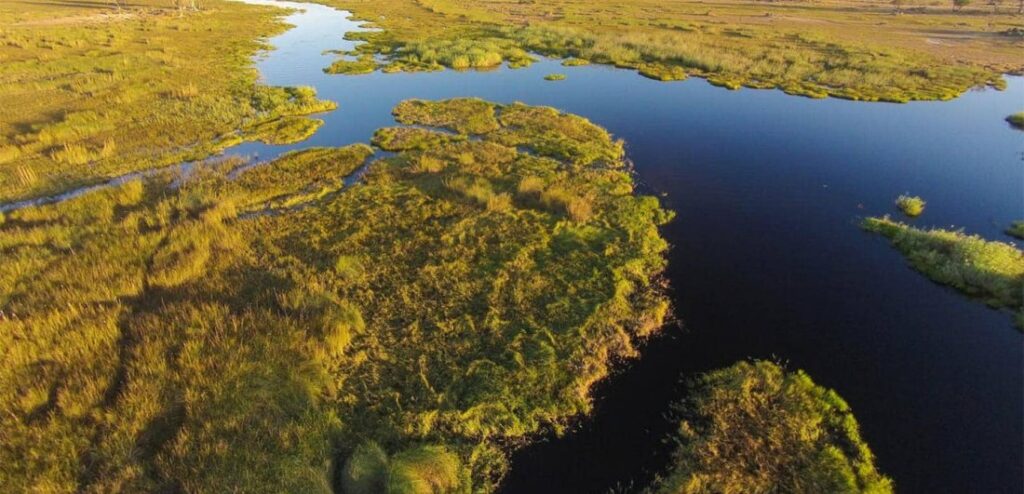 Okavango Delta in Botswana.