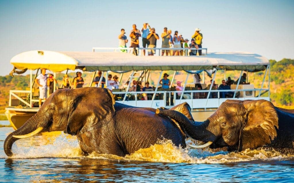 Elephants crossing the Chobe river in Botswana | Photo: THP Creative via Canva