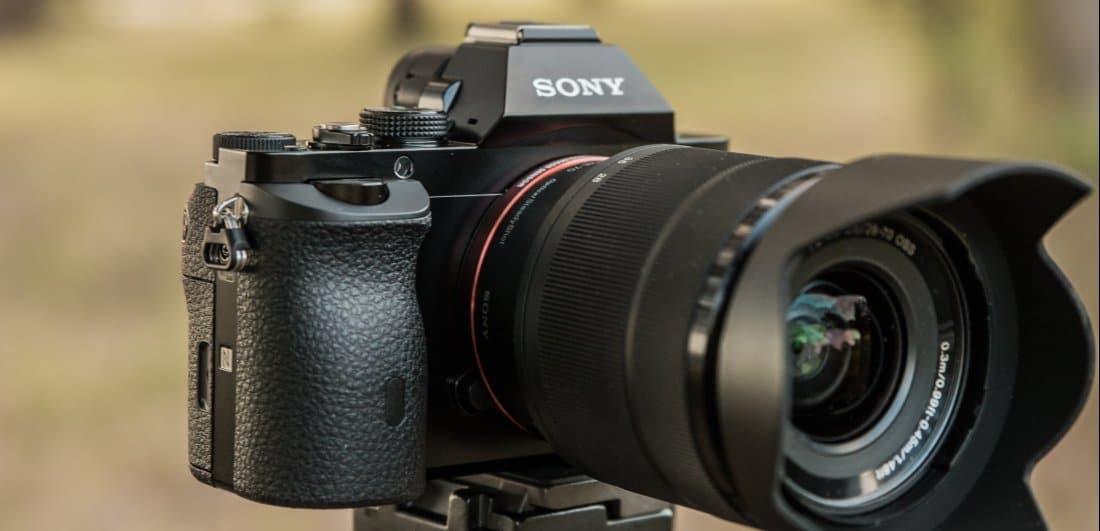 Safari photography: an amateur’s guide to getting your first wildlife shot