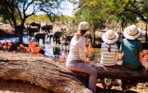 A mother and two children on safari watching elephants at a small waterhole in the African Bush.