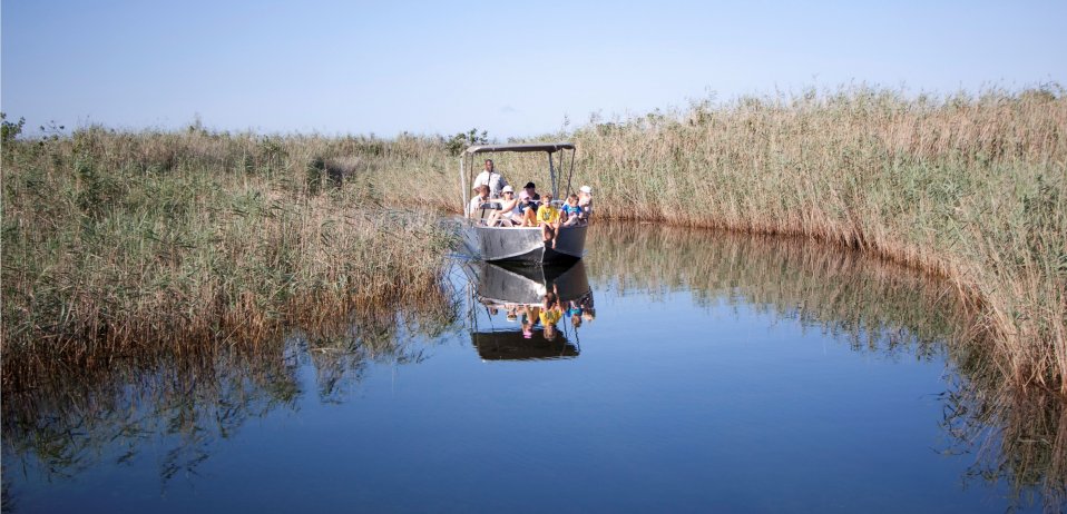 Kosi-forest-lodge-isimangaliso-kwazulu-natal-accommodation-south-africa-boat-trip
