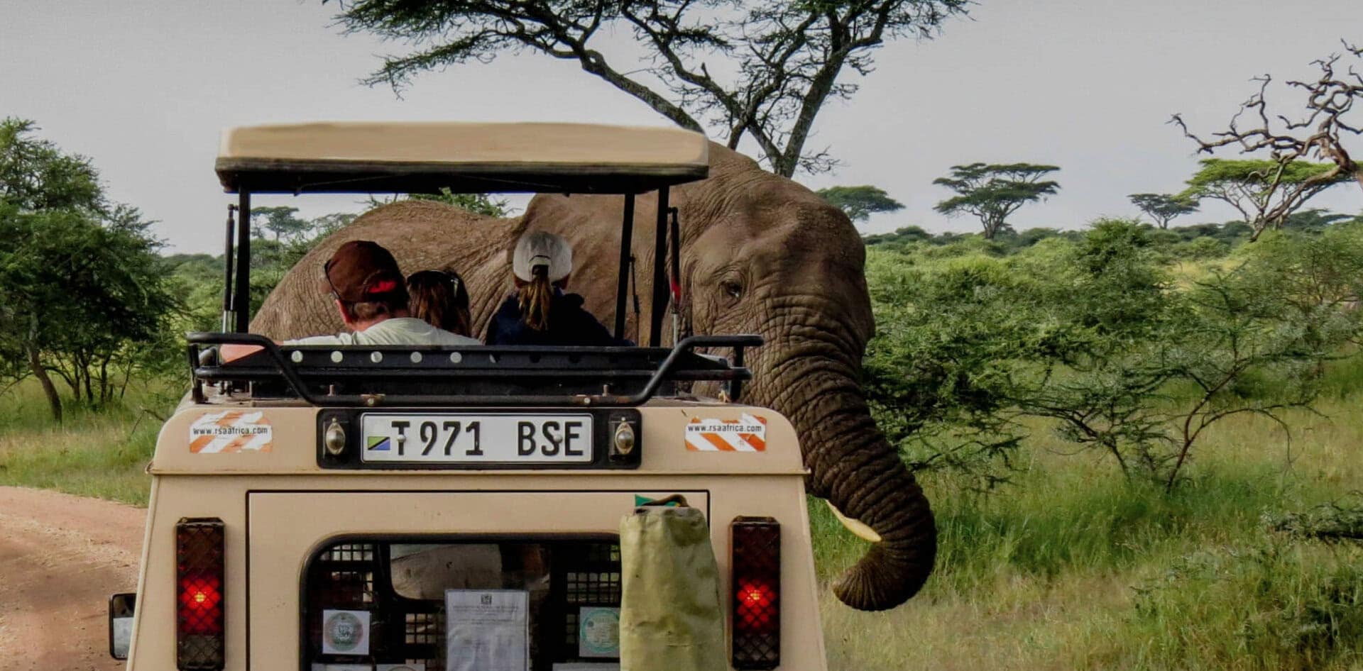 Game Drive in Ngorongoro Crater, Tanzania spotting an elephant