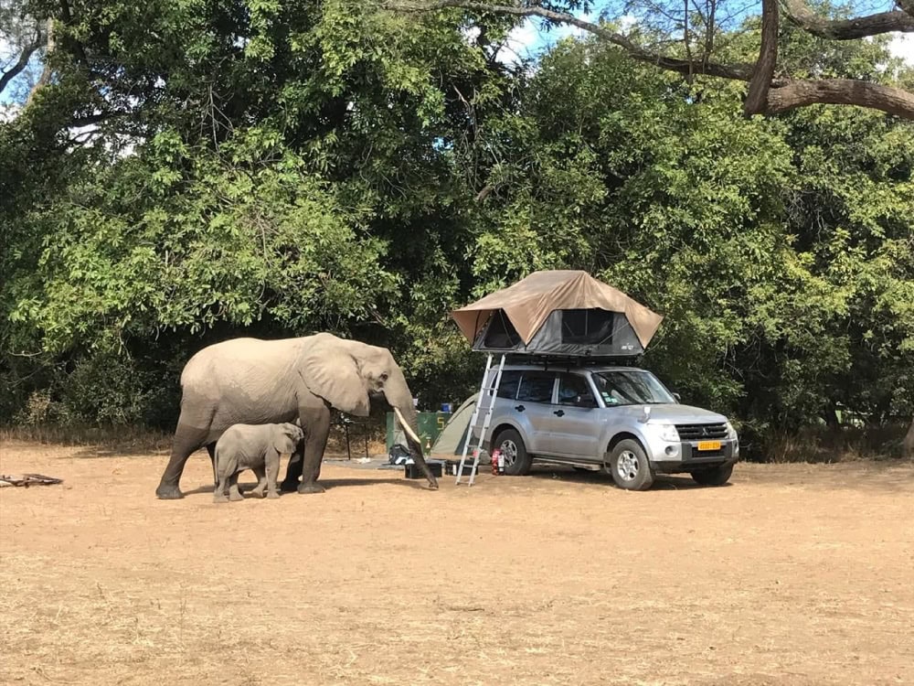 Seven reasons why you need to visit Zimbabwe