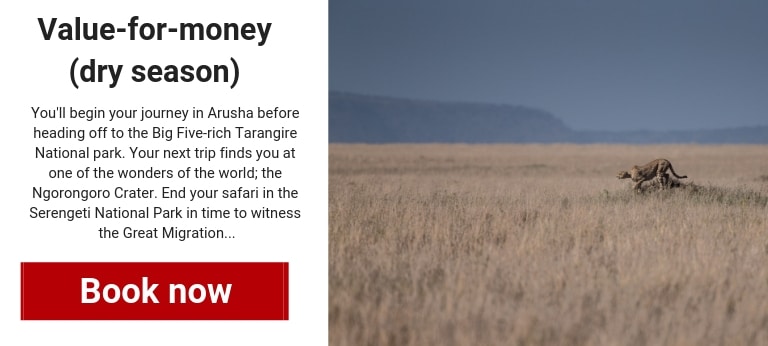 tanzania-safari