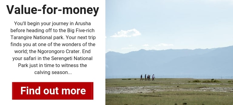 tanzania-safari