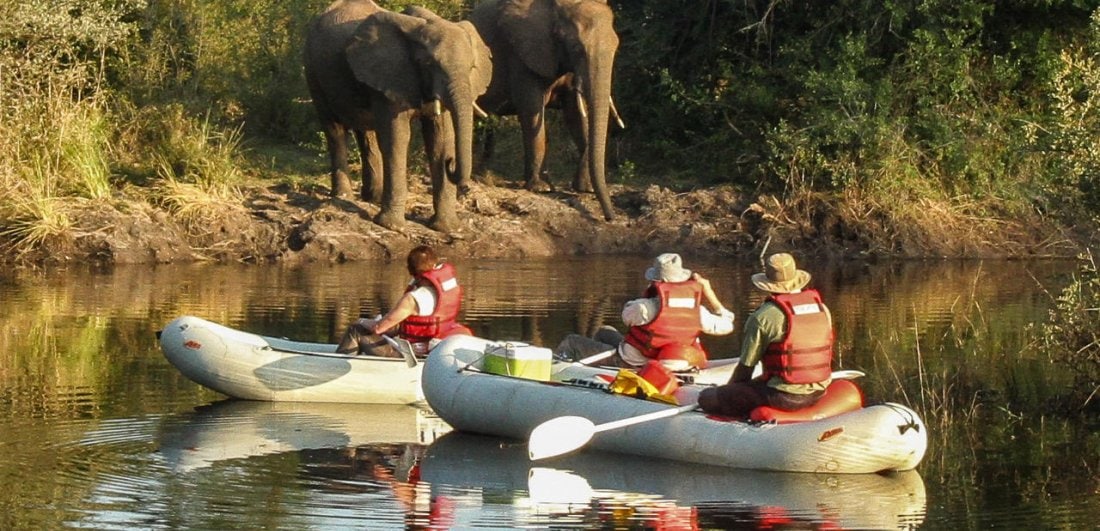 zimbabwe-safari