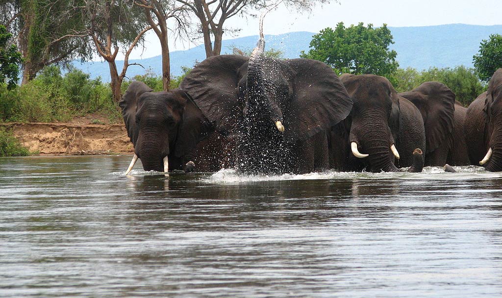 This time of the year gets better for wildlife viewing