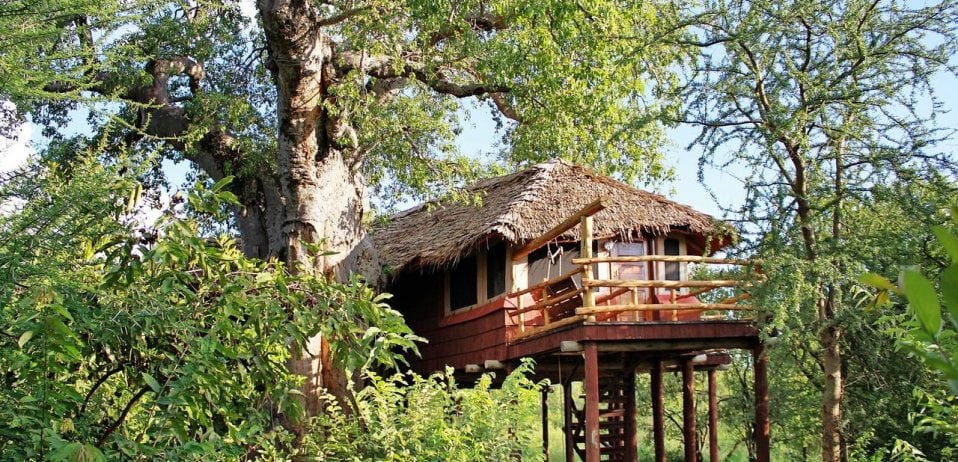 Explore Elewana Collection’s Tarangire Treetops