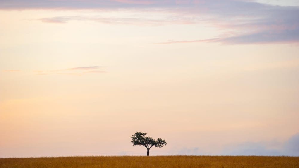 landscape masai mara