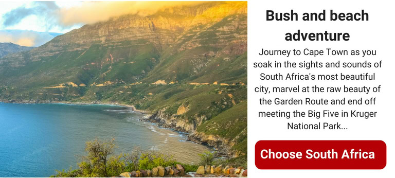 cape town holiday safari