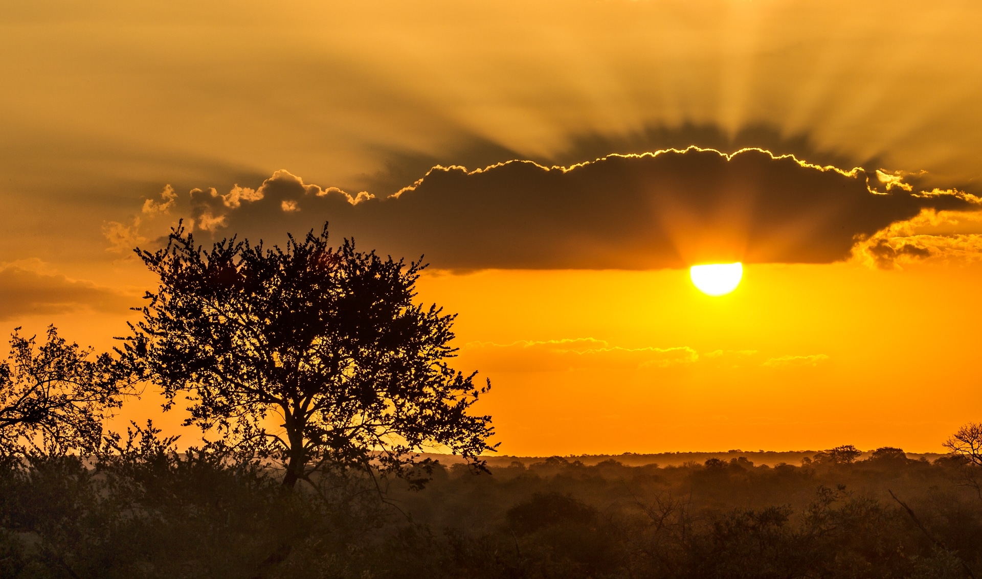 The Best Seven Day Kruger Park Safari Itinerary