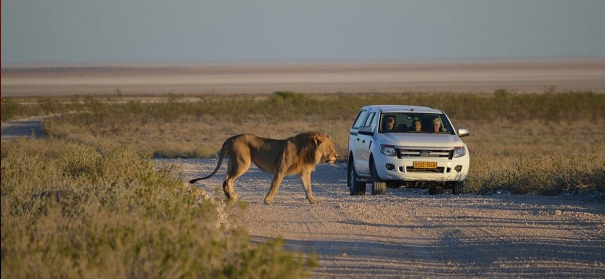 Kruger Safari: How Long Is Long Enough