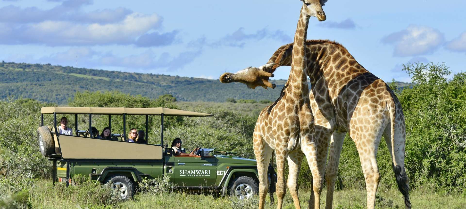 South Africa Game Drive