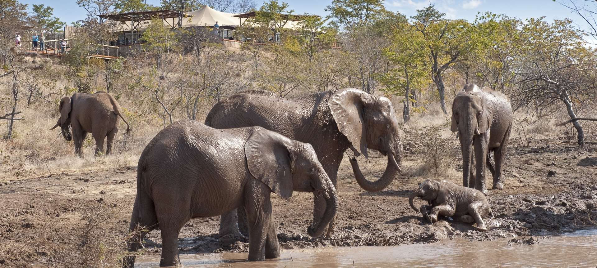 These Victoria Falls Safari Lodges Are Perfect For a Luxury Romantic Holiday