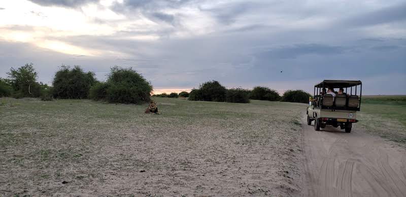 Enjoying a Safari Game Drive | Photo credits: Heather Butler