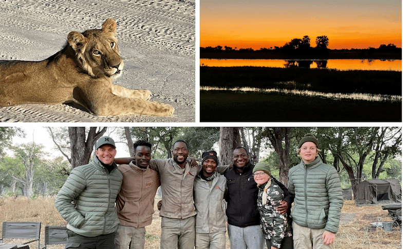 Family Safari