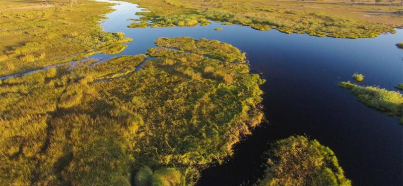 Aerial view of the Okavango Delta in Botswana.