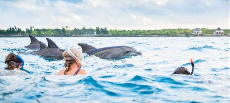 Activities in Zanzibar