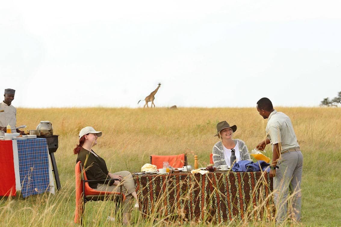 safari-goers in the bush of the Serengeti having breakfast