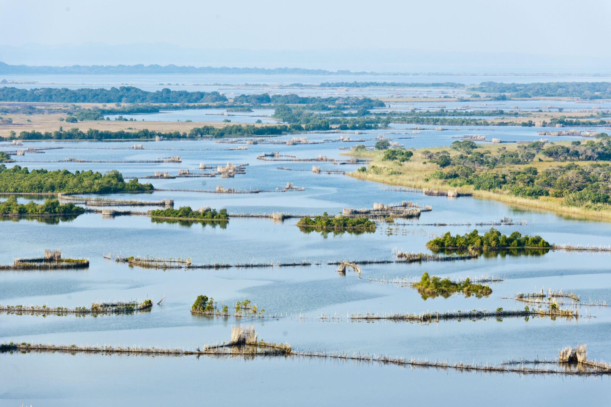 Isimangaliso Wetland Park (Greater St Lucia Wetland Park). KwaZulu Natal. South Africa
