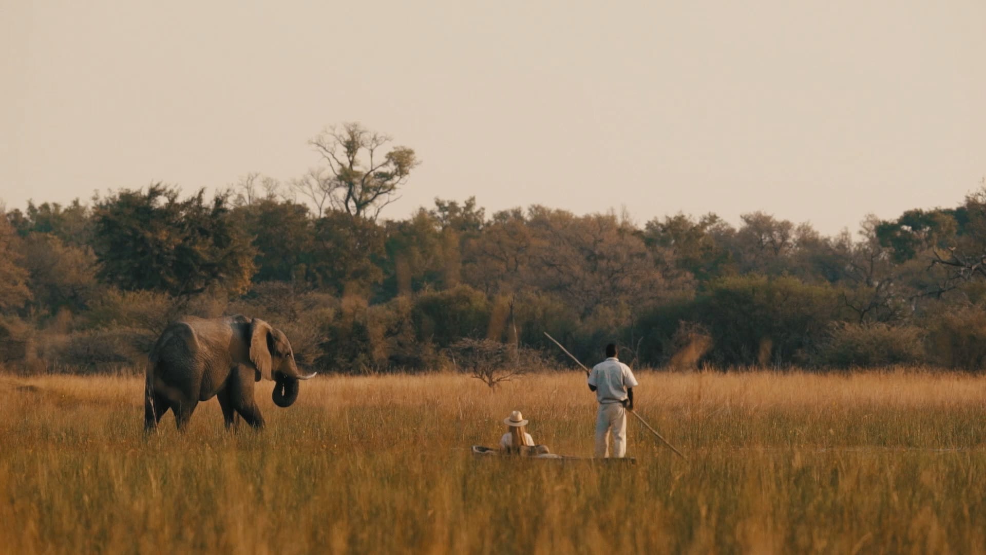A Mokoro safari in Botswana with an elephant walking close by at Chief's Camp, a luxury safari lodge. 