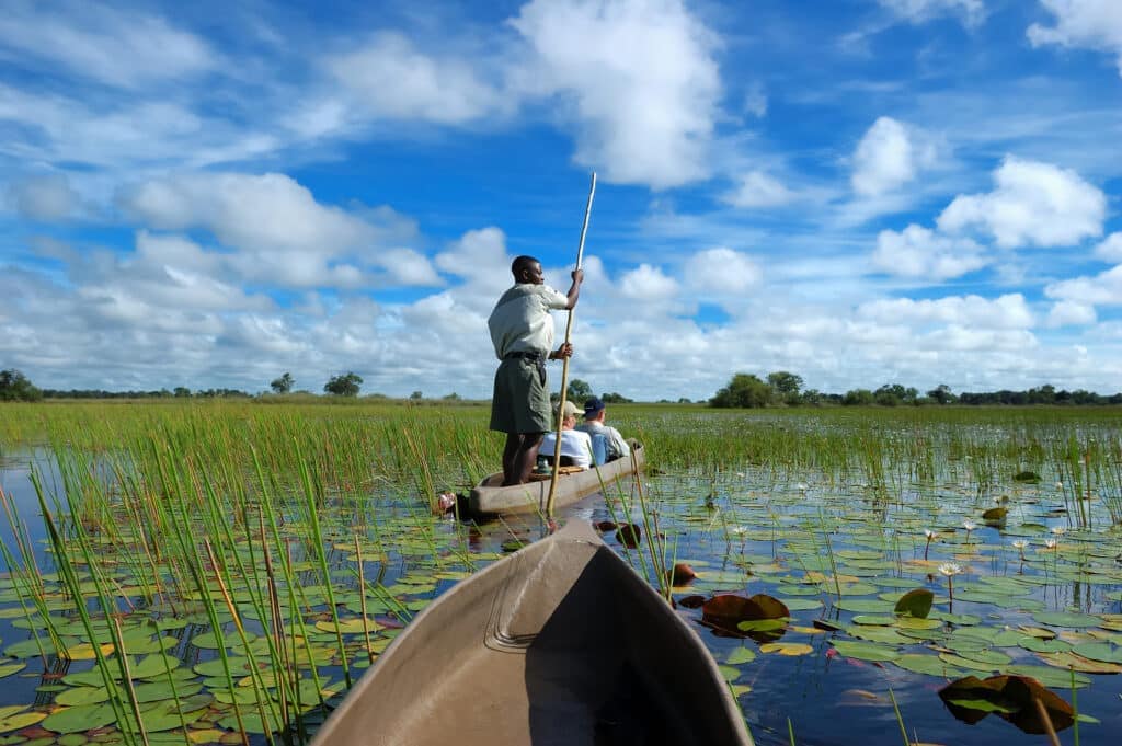 Mokoro safari in the Okavango Delta, Botswana.