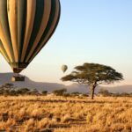 Balloon Safari over the Serengeti Tanzania