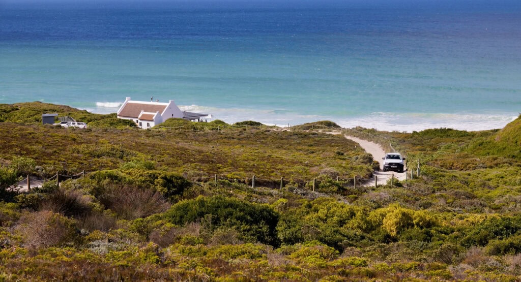 A narrow road on the shore surrounded by lush greenery. De Hoop Nature Reserve.